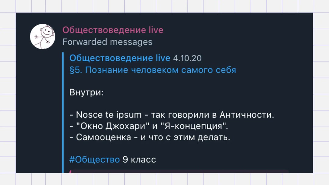 Скриншот Обществоведение live 