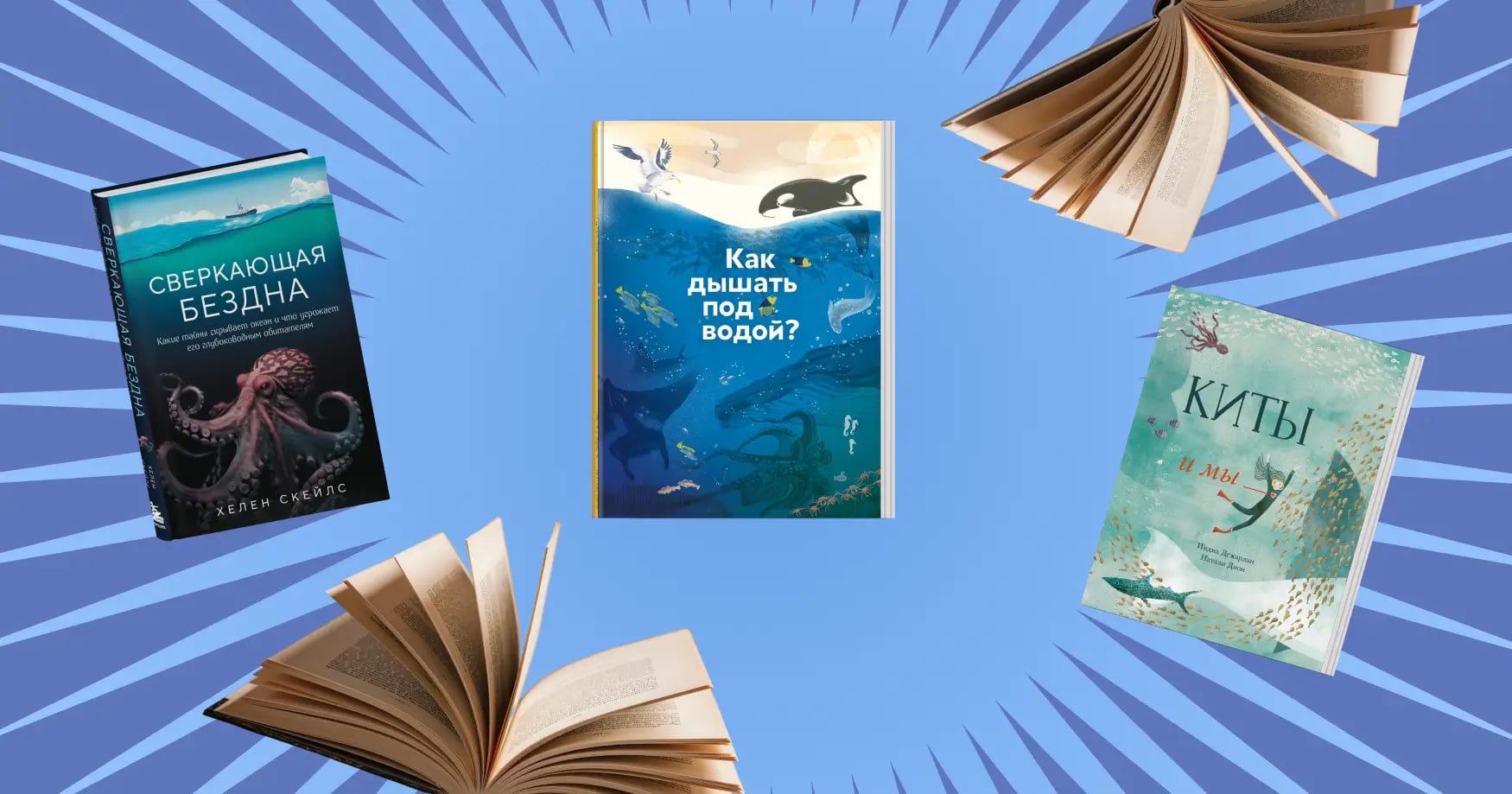 Вспоминая каникулы: 7 книг о море для школьников — от первоклашек до подростков